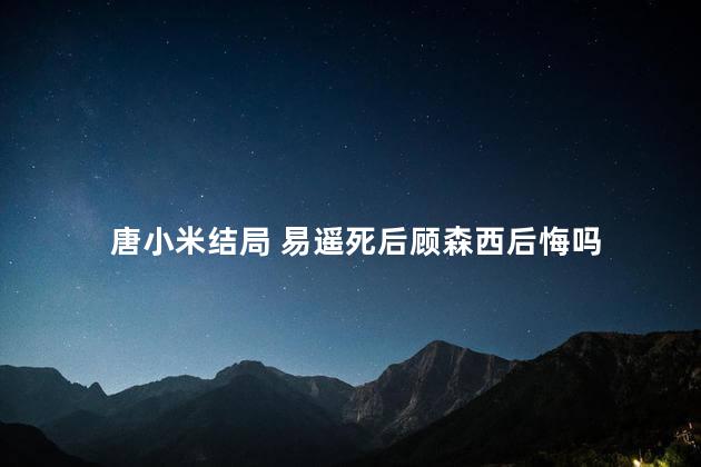 唐小米结局 易遥死后顾森西后悔吗